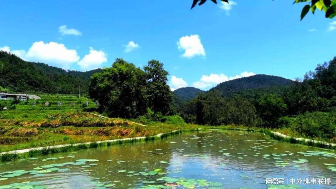 抖音自助点赞下单网址是多少：助你轻松提升内容影响力策略_dy24小时全网自助下单